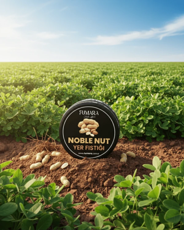 Fumara Noble Nut - Yer Fıstığı Aromalı 200 gr